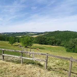 https://mobil-damiatte.midi-pyreneeshotels.com